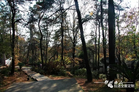 鄂州登山節(jié)